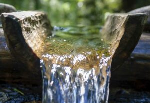 source-eau-gabriel