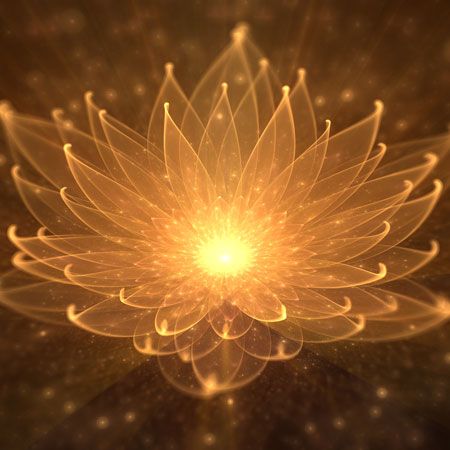 lotus-lumière