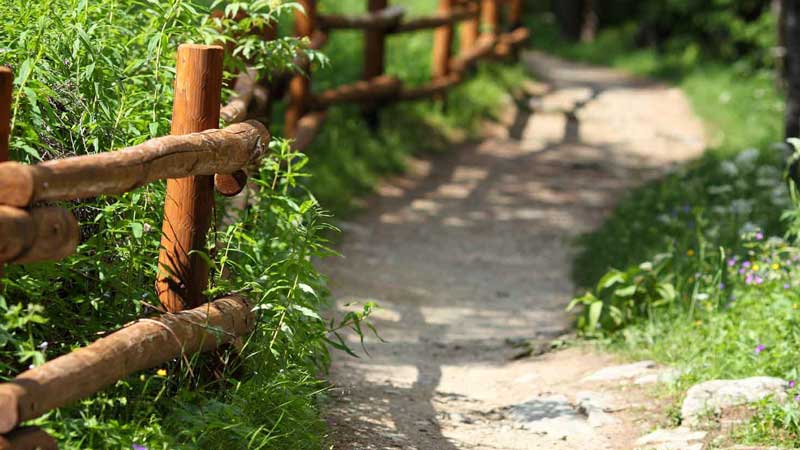 chemin essénien de l'âme